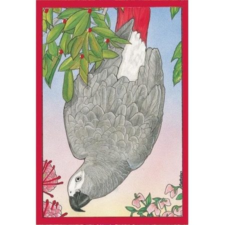 Pipsqueak Productions C873 African Grey Holiday Bird Christmas Boxed Cards - Pack Of 10